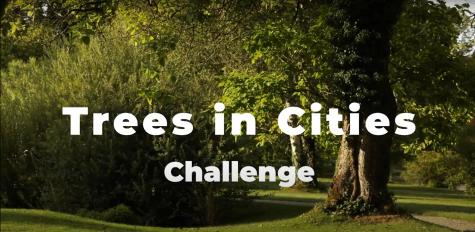 Trees in Cities Challenge