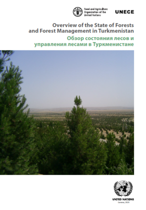 Cover of State of Forest in Turkmenistan (DP84)