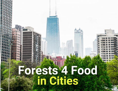 Forests4foodincitiescut