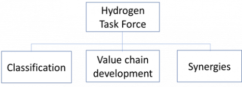 The structure of Hydrogen Task Force