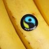 web_Fairtrade bananas 837.jpg