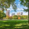 Urban trees support global biodiversity and sustainable societies 