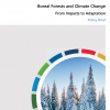 Boreal forests at risk of losing their captured carbon, says new UNECE policy brief