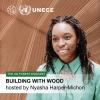 UN Forest Podcast building with wood
