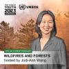 Wildfires cover host Jodi-Ann Jue Xuan Wang