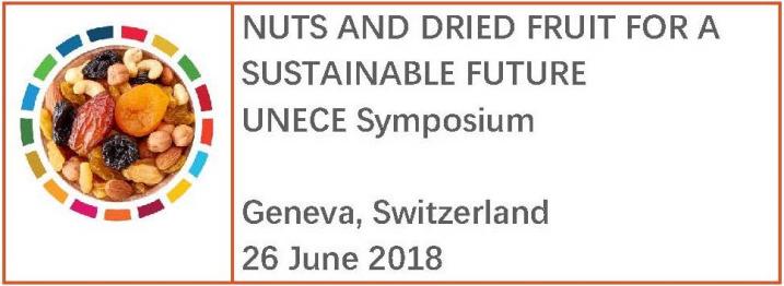 DDP Sustainable Future -  UNECE Symposium