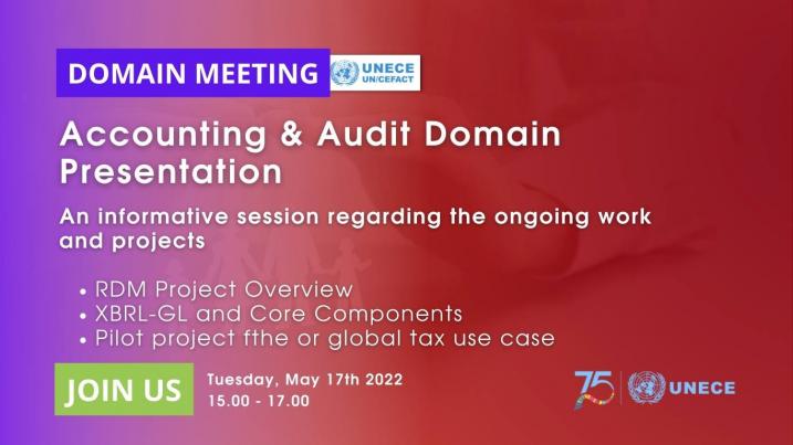 38th UN/CEFACT Forum: Accounting and Audit Domain Presentation