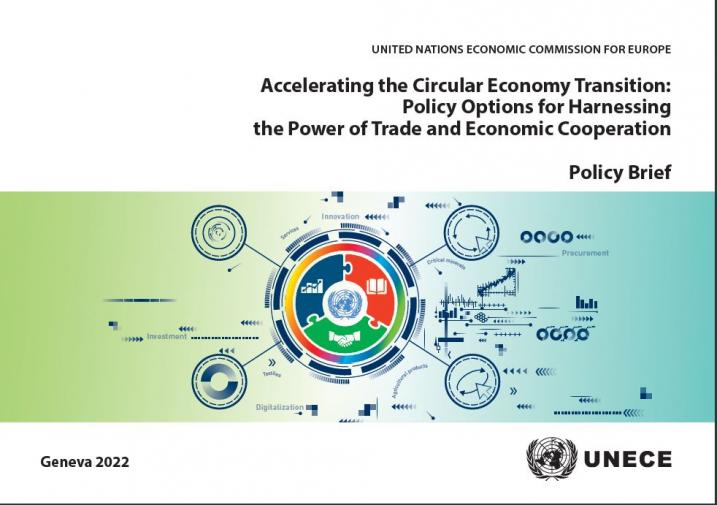 Circular Economy - Trade - Policy Brief