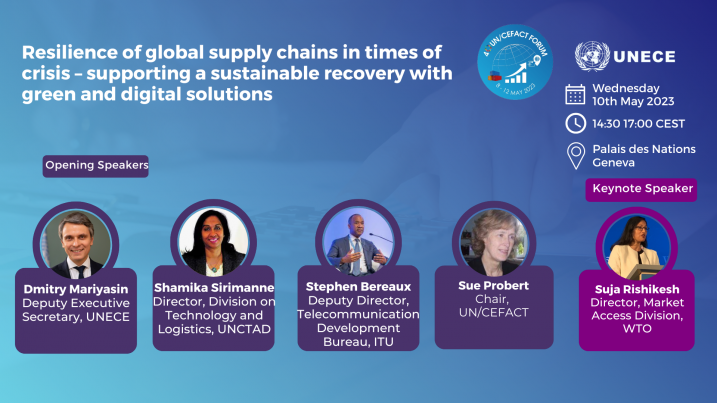 Resilience of Global Supply Chains in Times of Crisis - Supporting a Sustainable Recovery with Green and Digital Solutions