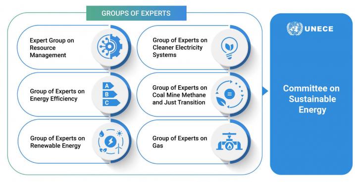 SE Committee structure Groups of Experts