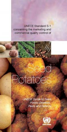 cover of publication with photo of seed potatoes on it