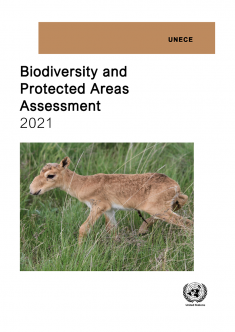 UNECE Biodiversity and PAs assessment