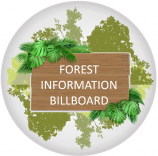 Forest Information Billboard