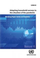 Adapting household surveys