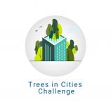 Trees in cities challenge logo icon