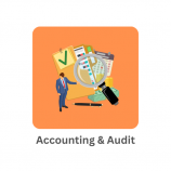 Accounting and Audit