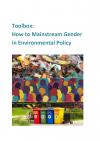 How to Mainstream Gender in Environmental Policy