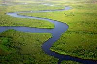 River, the Gambia