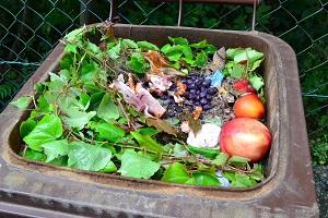wasted food in a garbage can