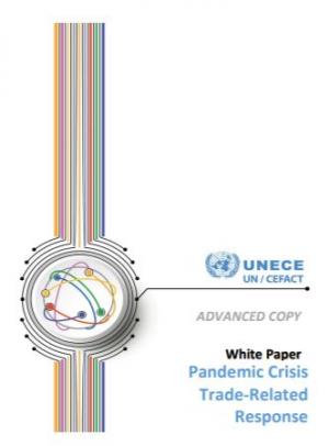 Cover of the report White Paper pandemic