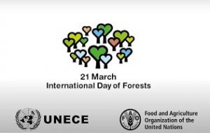 Video presentation of International Day of Forests