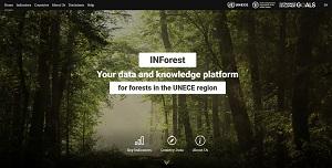 web PR Forests