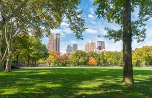 Urban trees support global biodiversity and sustainable societies 