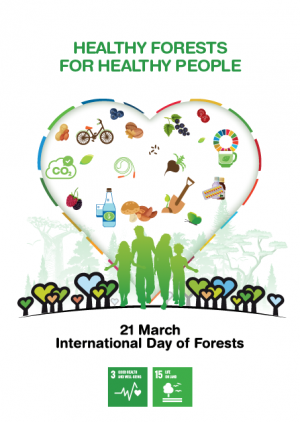 Intl day of forests